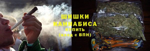 индика Абаза