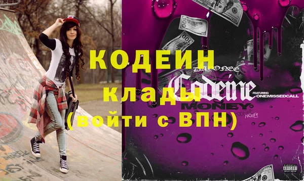 индика Абаза