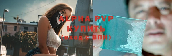 индика Абаза