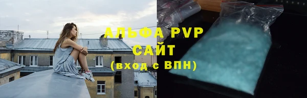 индика Абаза