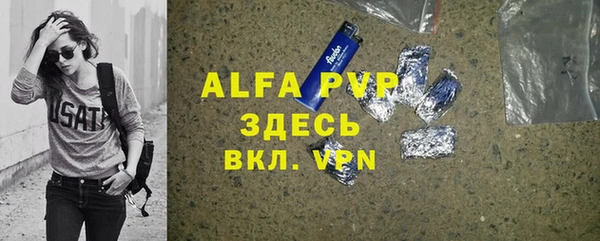 индика Абаза