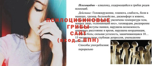 МДПВ Абинск
