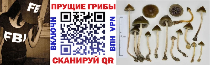 Галлюциногенные грибы ЛСД Братск