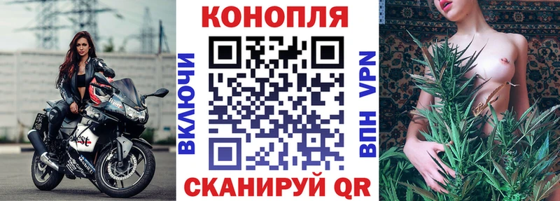 Шишки марихуана планчик Братск